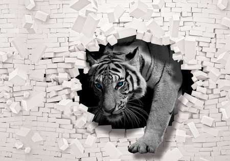 10400 - Тигър разбива стена
