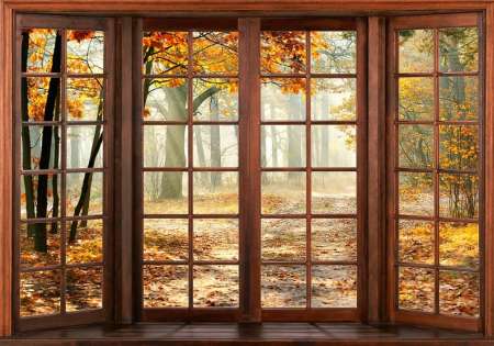 14129 - Прозорец изглед към гората